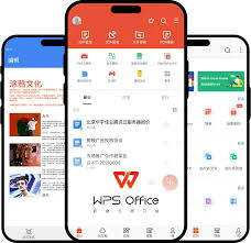 wps 價格