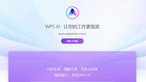 wps vba